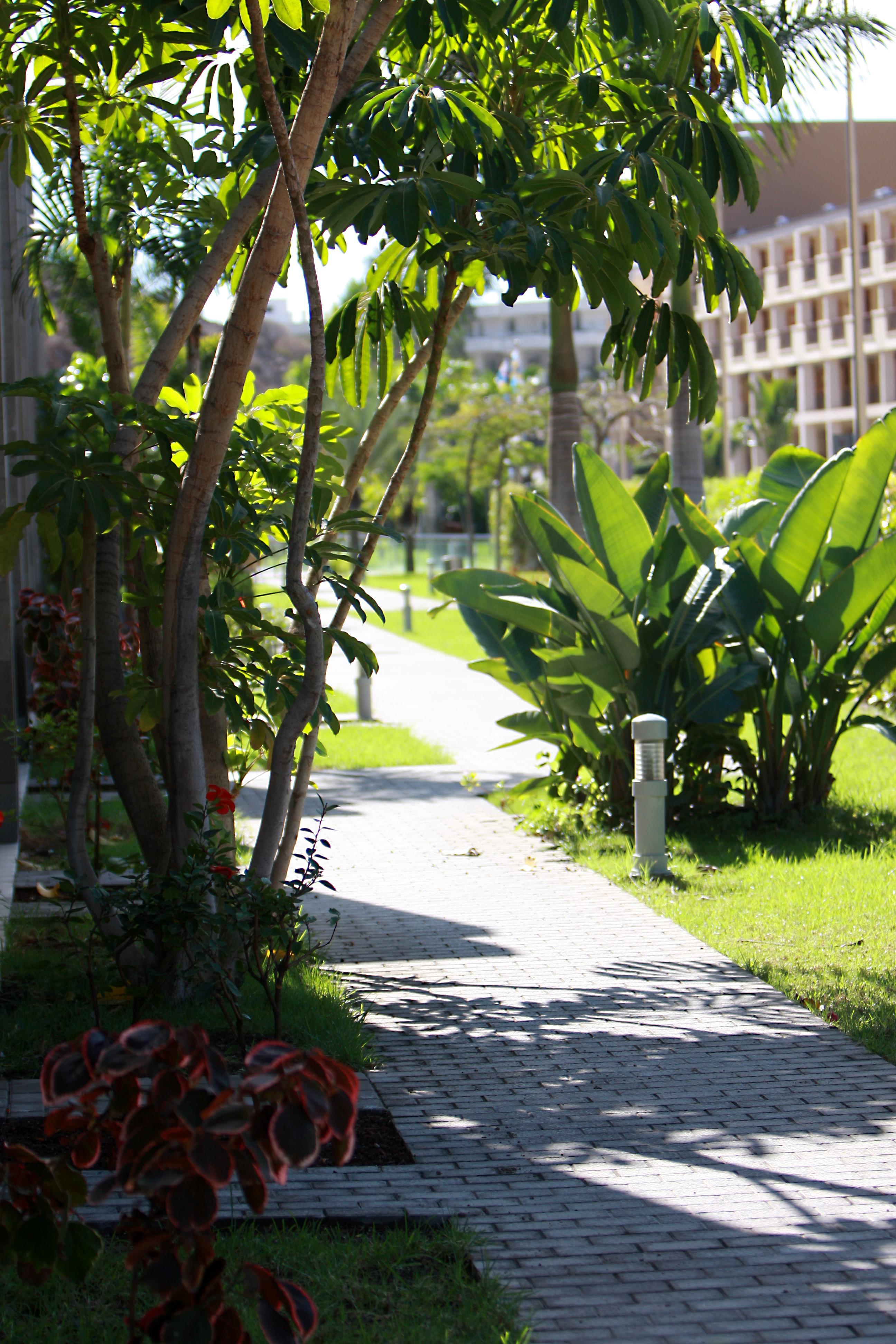 Hotel Livvo Costa Taurito & Aquapark (Adults Only) Экстерьер фото
